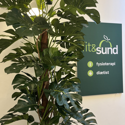 Plante indgang
